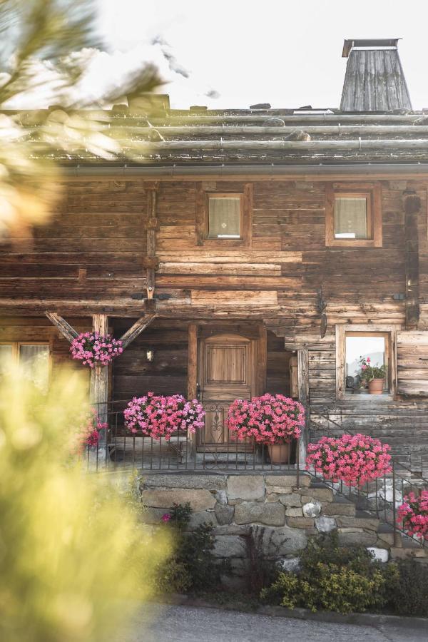 La Ferme Du Var 拉克吕萨 外观 照片