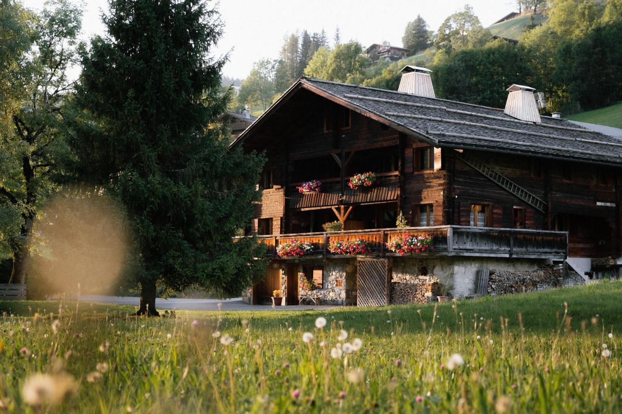 La Ferme Du Var 拉克吕萨 外观 照片